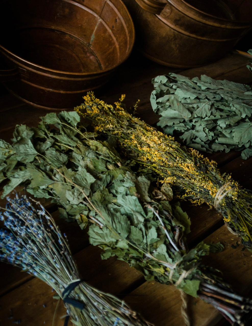 Веники для парения